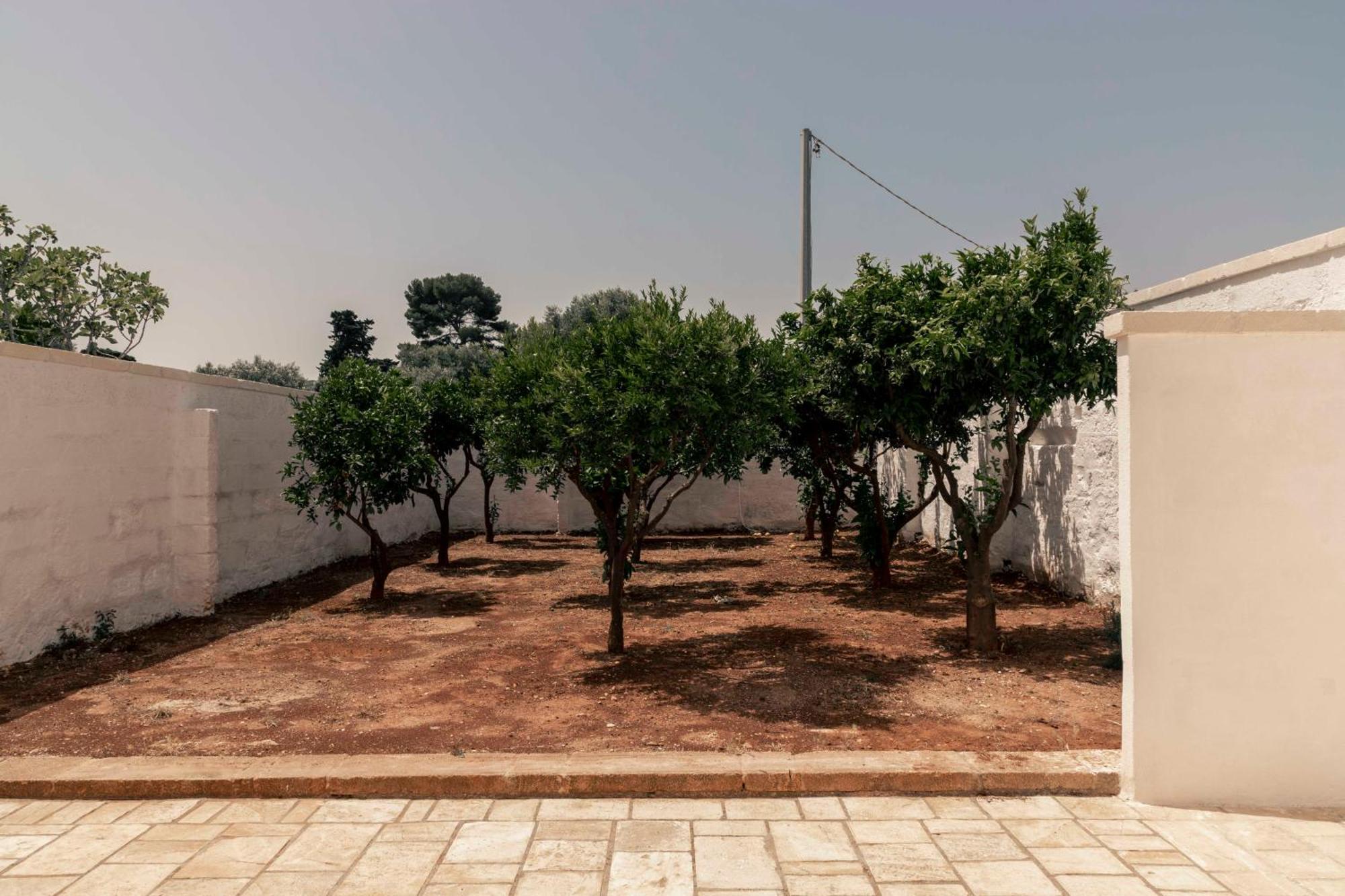 Masseria Artemisia Vista Mare Ostuni Exteriör bild